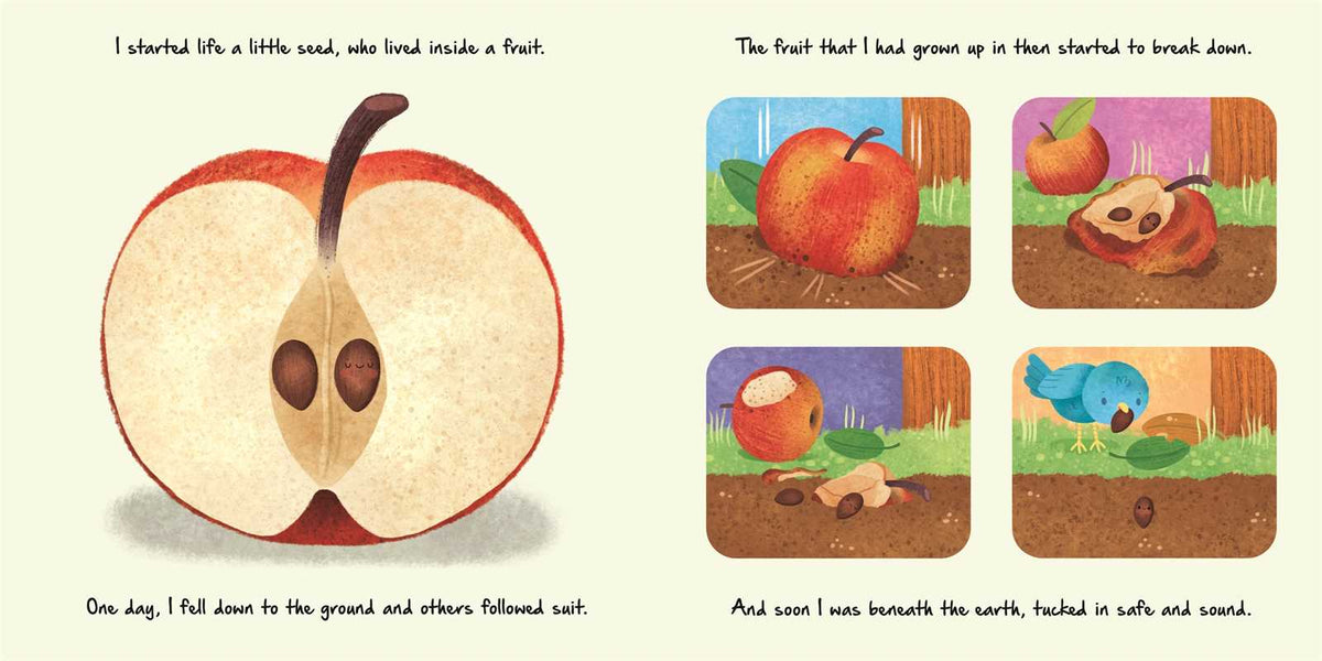 Nature Stories: Little Apple Tree by IglooBooks: Board Books; 24 pages / English