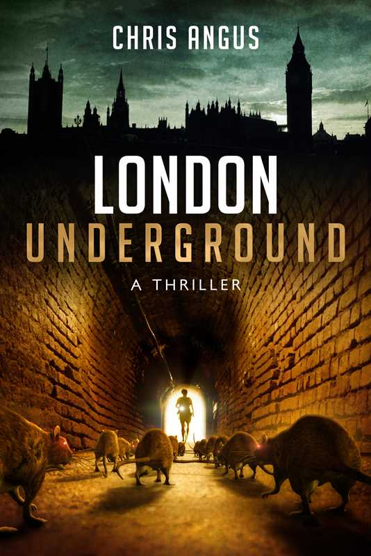 London Underground by Chris Angus: Paperback; 396 pages / English