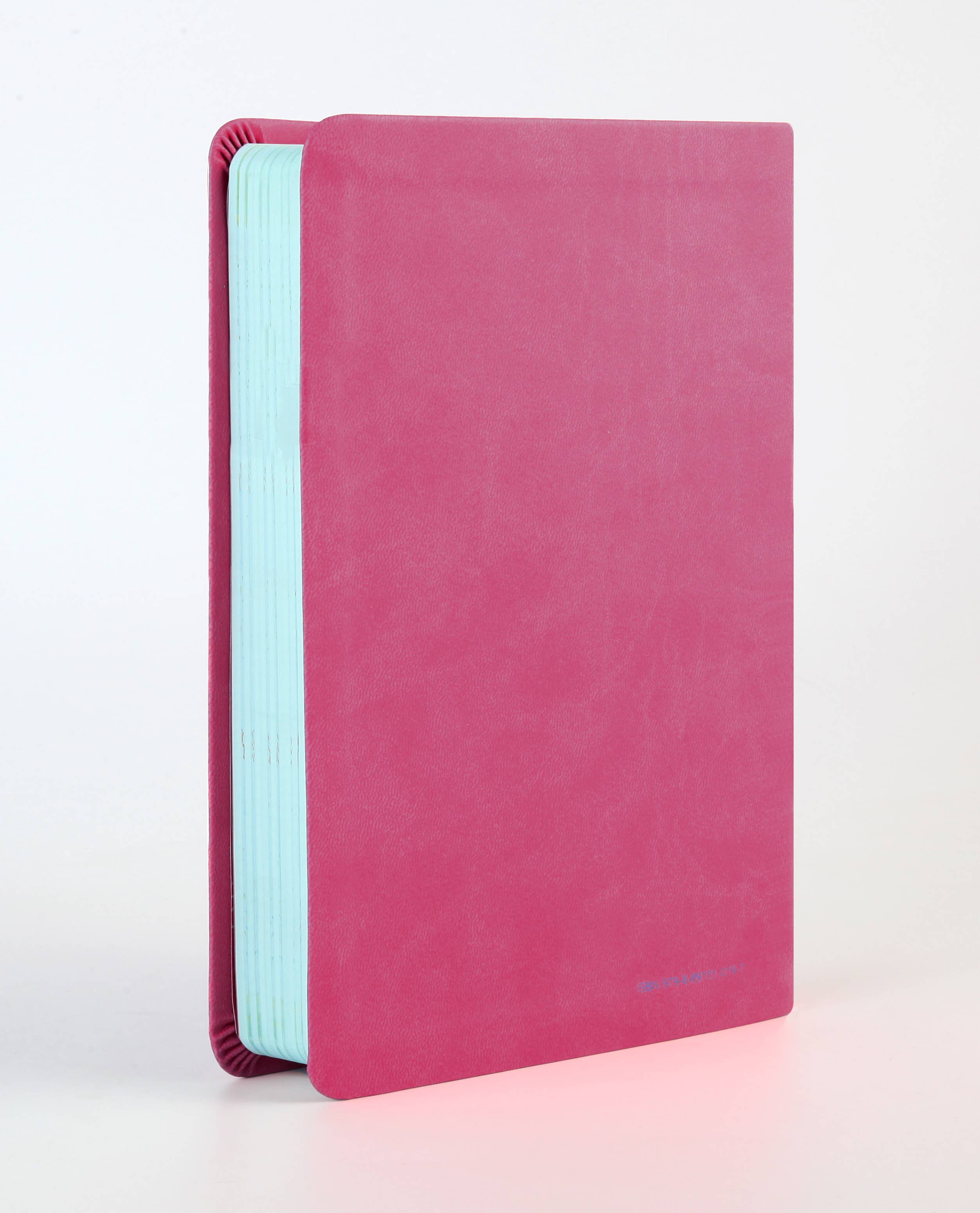 One-Minute Bible for Kids [girls' cover] : New Life Version