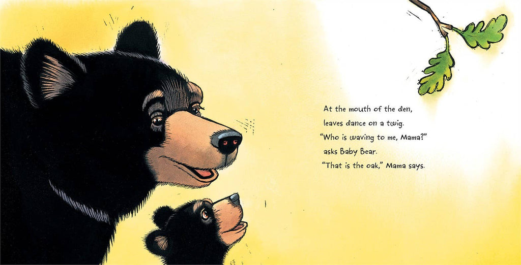 Baby Bear Sees Blue by Ashley Wolff: Board Books; 42 pages / English