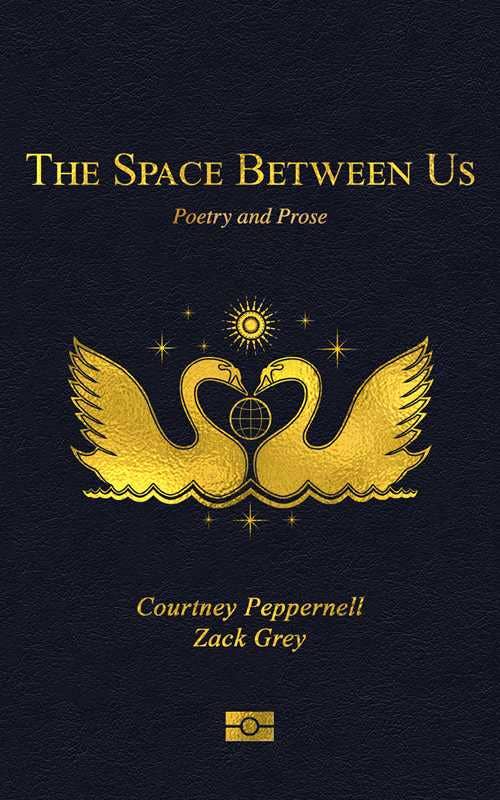 Space Between Us by Courtney  Peppernell: Paperback; 256 pages / English