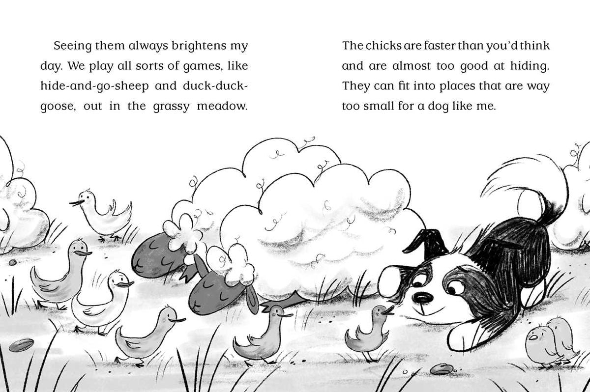 Barnyard Buddies by Cam Higgins: Paperback; 128 pages / English